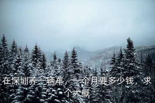 魯山到深圳順風(fēng)車(chē)多少錢(qián)一個(gè),在深圳養(yǎng)一輛車(chē)