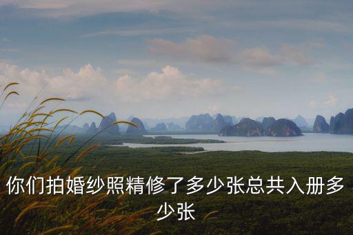 你們拍婚紗照精修了多少張總共入冊多少張