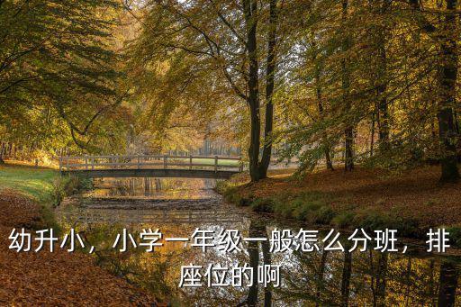 幼升小，小學(xué)一年級(jí)一般怎么分班，排座位的啊
