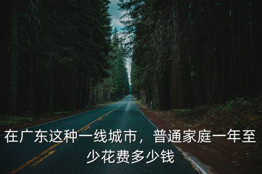 廣州買房一年消費多少錢,普通家庭一年至少花費多少錢