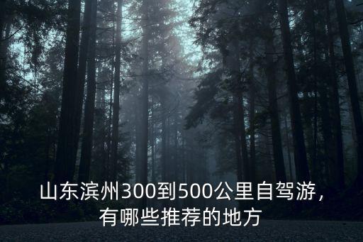 山東濱州300到500公里自駕游，有哪些推薦的地方