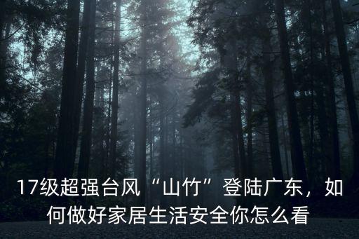 17級(jí)超強(qiáng)臺(tái)風(fēng)“山竹”登陸廣東，如何做好家居生活安全你怎么看