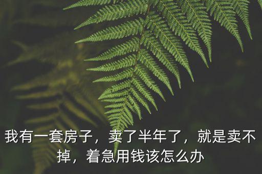 深圳房子賣不出怎么辦手續(xù),我有一套房子