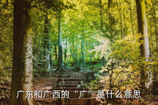 廣東廣西的廣是指哪里人,廣東的廣字指哪里