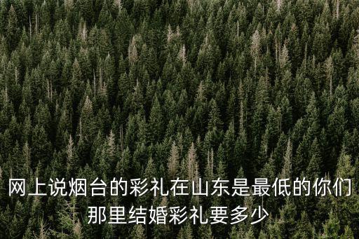 臨沂莒南縣彩禮一般多少,山東日照莒縣彩禮多錢