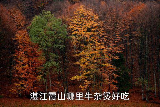 湛江霞山哪里牛雜煲好吃