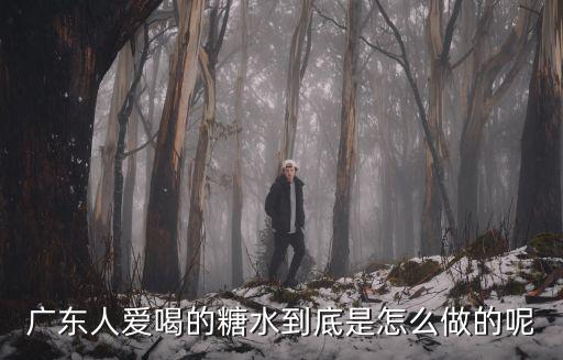 廣東糖水是哪里出的,如何制作一碗正宗的廣東糖水