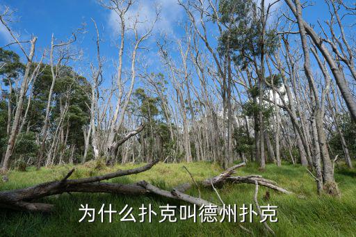 為什么撲克叫德州撲克