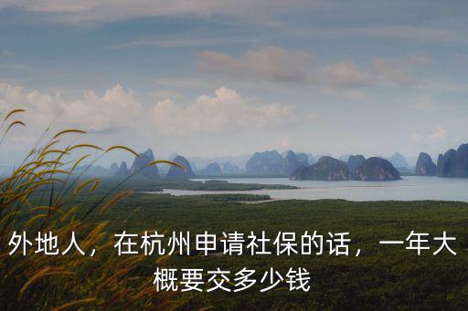 外地人，在杭州申請社保的話，一年大概要交多少錢