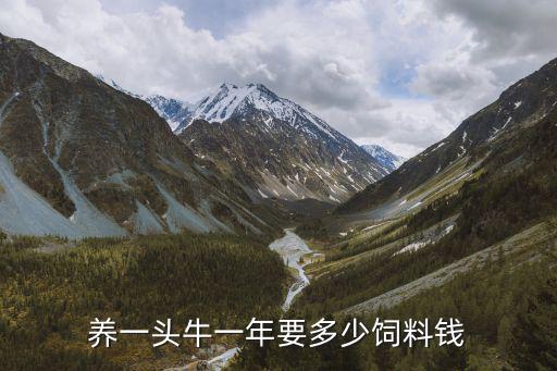 廣東小水牛多少一頭,養(yǎng)一頭牛一年要多少飼料錢