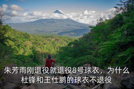 廣東宏遠退役了多少件球衣,朱芳雨剛退役就退役8號球衣