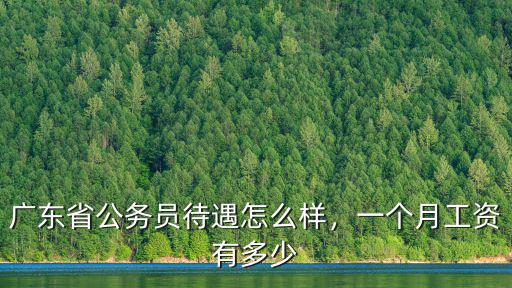 深圳公務(wù)員加工資多少錢(qián)一個(gè)月,廣東省公務(wù)員待遇怎么樣