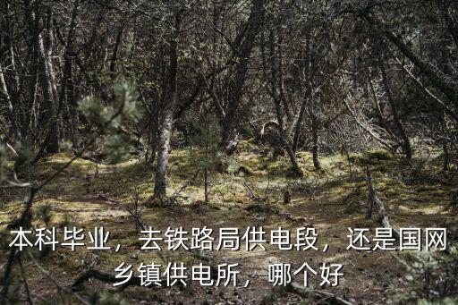 本科畢業，去鐵路局供電段，還是國網鄉鎮供電所，哪個好