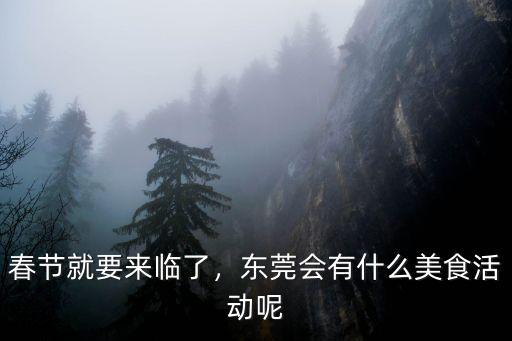 春節就要來臨了，東莞會有什么美食活動呢