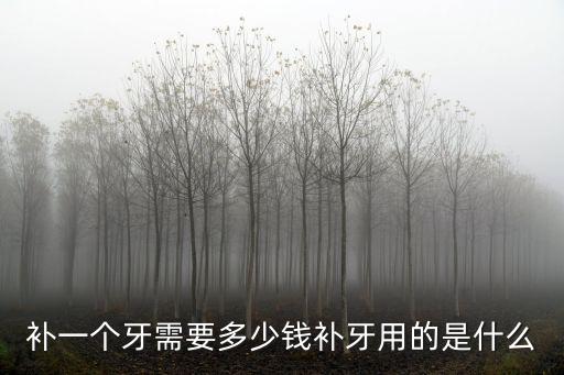 補一個牙需要多少錢補牙用的是什么