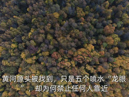 黃河源頭被找到，只是五個噴水“龍眼”，卻為何禁止任何人靠近