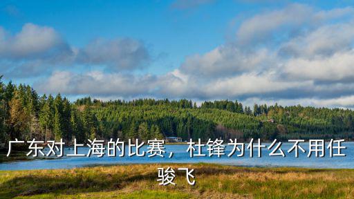 任駿飛是廣東哪里人,他們都是哪里人