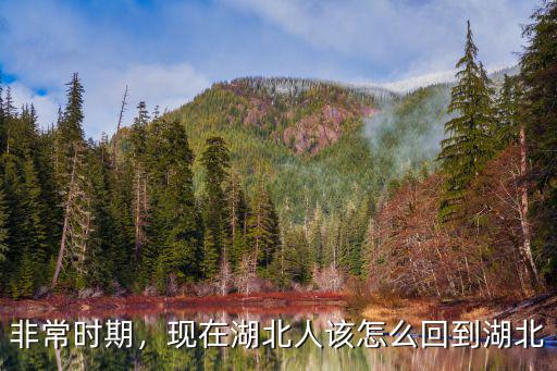 湖北籍沒回湖北返深圳怎么處理,湖北籍深圳戶口怎樣返回深圳