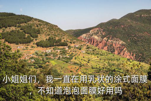 小姐姐們，我一直在用乳狀的涂式面膜，不知道泡泡面膜好用嗎