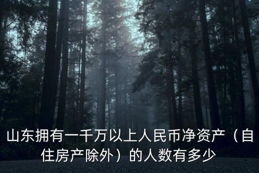 山東擁有一千萬以上人民幣凈資產（自住房產除外）的人數有多少