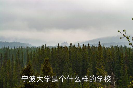 寧波大學是個什么樣的學校