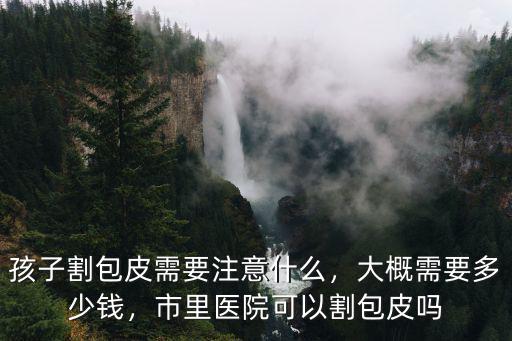 孩子割包皮需要注意什么，大概需要多少錢，市里醫院可以割包皮嗎