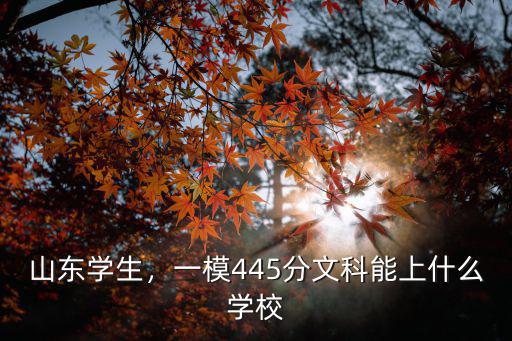 山東學生，一模445分文科能上什么學校