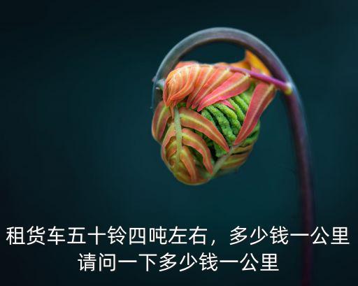 云浮五十鈴貨車多少錢,租貨車五十鈴四噸左右
