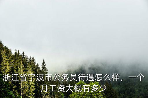 寧波社區(qū)的工資大約有多少錢,一個(gè)月工資大概有多少