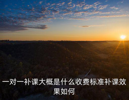 深圳一對一補課費用是多少,初三學生一對一補課