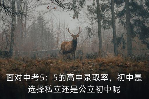 嘉興初中錄取率是多少,中考錄取率是多少