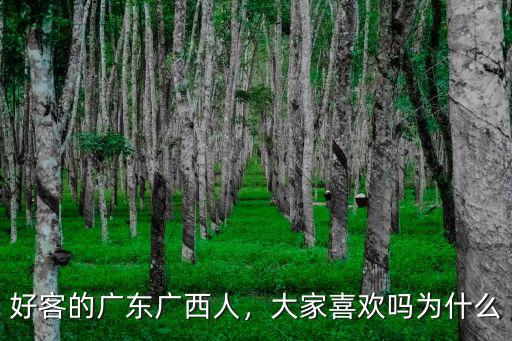 好客的廣東廣西人，大家喜歡嗎為什么