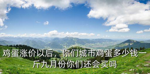 濱州雞蛋價格多少錢一斤,現在雞蛋多少錢一斤