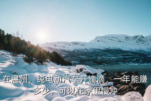 在溫州跑滴滴一個月能賺多少,新手一個月能賺多少錢