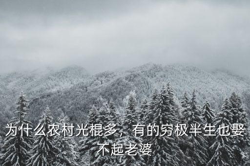 浙江單身農村光棍有多少人,哪個省份的農村光棍最多