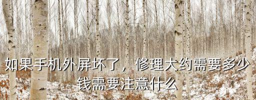 寧波修理手機屏幕多少錢,如果手機外屏壞了