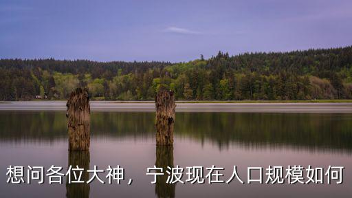 想問各位大神，寧波現在人口規模如何