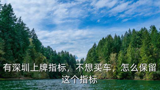 有深圳上牌指標(biāo)，不想買車，怎么保留這個(gè)指標(biāo)