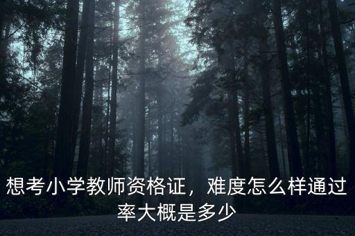 杭州教師資格證通過率是多少,想考小學教師資格證