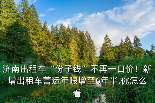 濟南出租車“份子錢”不再一口價！新增出租車營運年限增至6年半,你怎么看