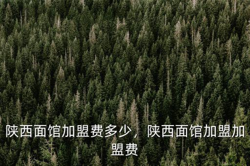 德州陜西面館加盟費多少,陜西面館加盟費多少錢