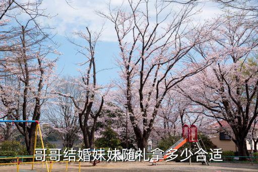 哥哥結(jié)婚妹妹隨禮拿多少合適