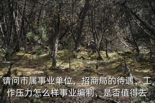 肇慶招商局待遇怎么樣,招商局的待遇