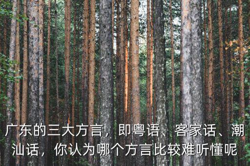 廣東的三大方言，即粵語、客家話、潮汕話，你認(rèn)為哪個(gè)方言比較難聽懂呢