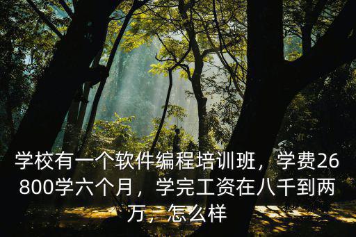 青島編程培訓學費多少,學費要兩三萬