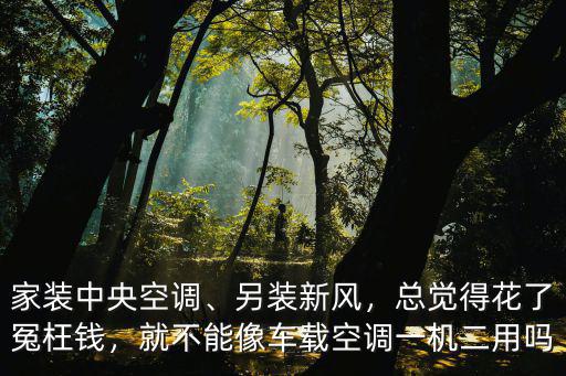 家裝中央空調、另裝新風，總覺得花了冤枉錢，就不能像車載空調一機二用嗎
