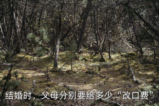 杭州一般改口費多少,結婚改口錢一般給多少