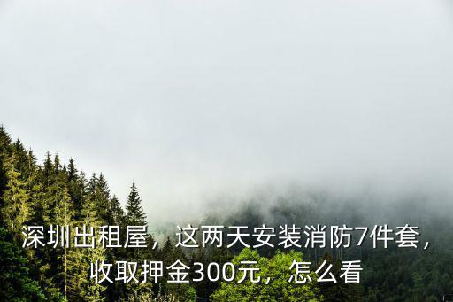 深圳出租屋，這兩天安裝消防7件套，收取押金300元，怎么看
