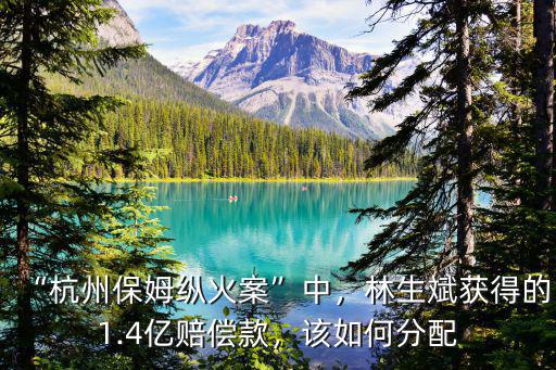“杭州保姆縱火案”中，林生斌獲得的1.4億賠償款，該如何分配