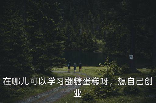 在哪兒可以學(xué)習(xí)翻糖蛋糕呀，想自己創(chuàng)業(yè)